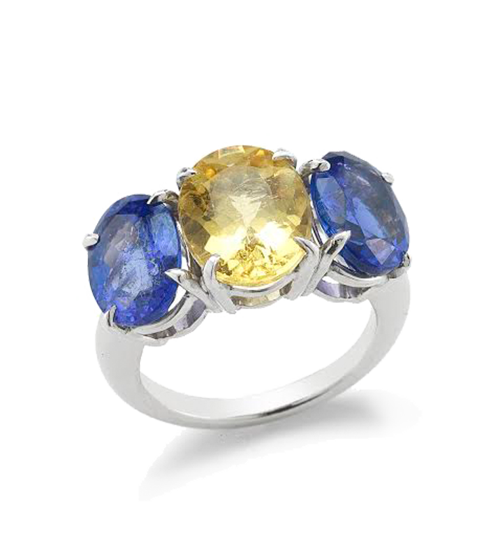 blue_yellow_ring (2)